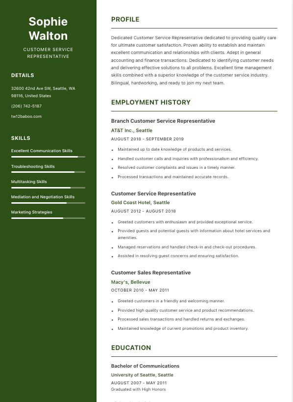 Modern resume template preview