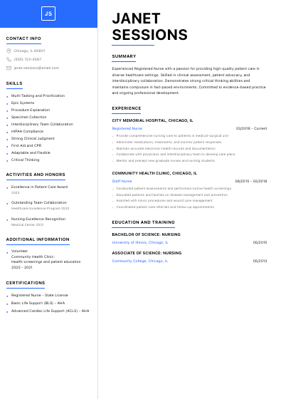 Professional resume template preview